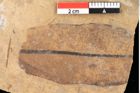 Foto (Detailsansicht) von Quercus palaeoilex Ettingshausen (NHMW-GEO-2024-0188-0816)